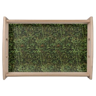 Green Chili Pepper Pattern 