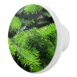 green, christmas, fir, branch, tree, background, ceramic knob