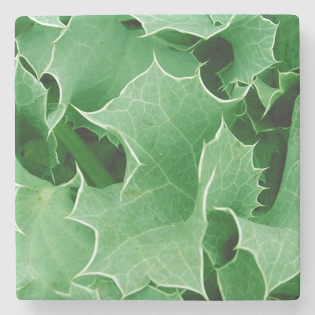 Green Christmas Holly Stone Coaster (Front)