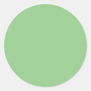 Green Circle Sticker   Bold Minimal Accent