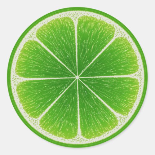 Green Citrus Lime Fruit Slice Classic Round Sticker