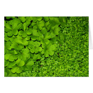 Green Clover Cards