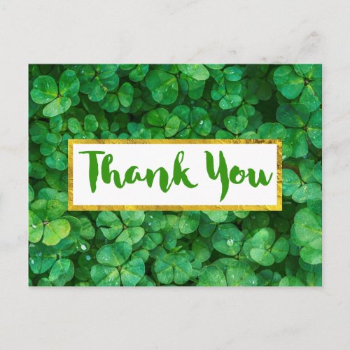 Green Clover Leaves Background Thank You Postcard