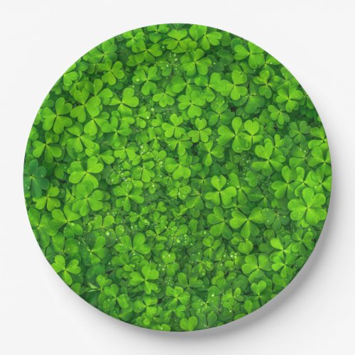 Green Clover Leaves with Water Drops Paper Plates