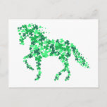 Green Clover Shamrock Horse St. Patricks Day Postcard