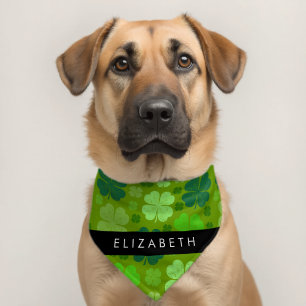 Green Clovers, Lucky Clovers, Your Name Pet Bandana Collar
