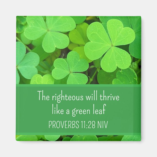 Green Clovers Photo Prosperity Bible Verse Cute Magnet (Front)