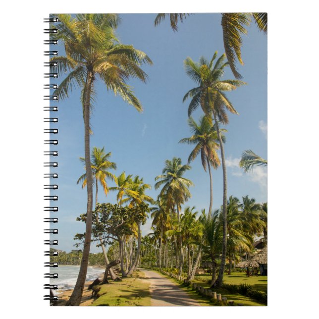 Green coconut palm tree near green grass field in  notebook (Front)