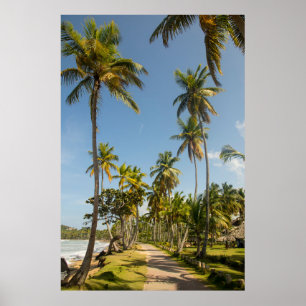 Green coconut palm tree near green grass field in  poster