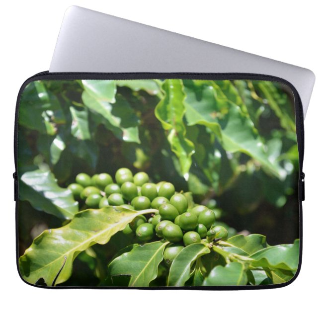Green Coffee Berries Laptop Computer Sleeve (Front)