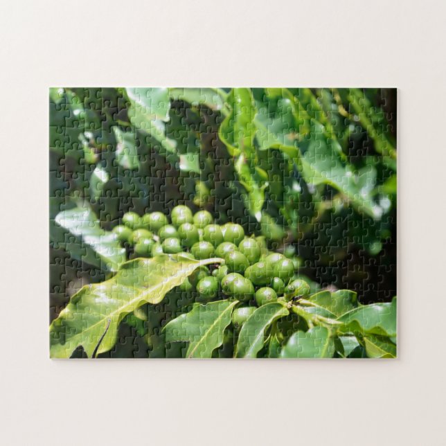 Green Coffee Berries Puzzle (Horizontal)