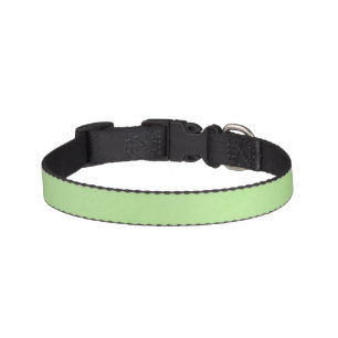 Green Color Cute Pet Collar