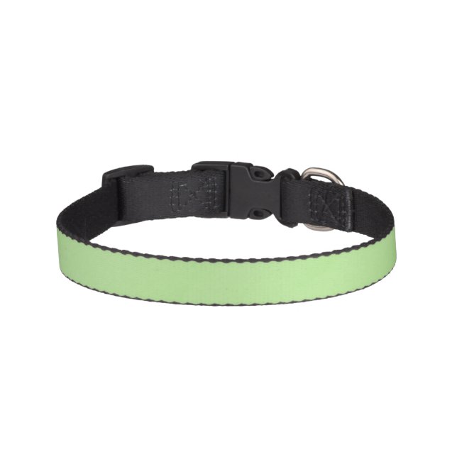 Green Color Cute Pet Collar (Front)