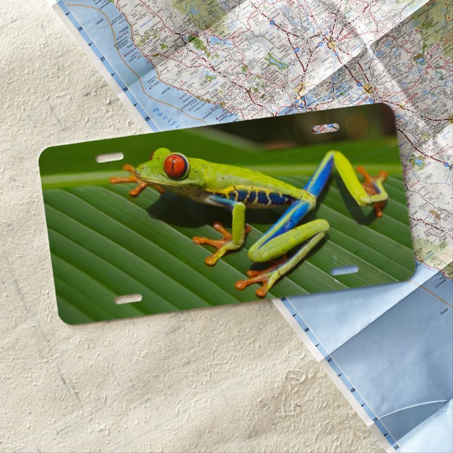 Green Colorful Jungle Tree Frog License Plate (In Situ)