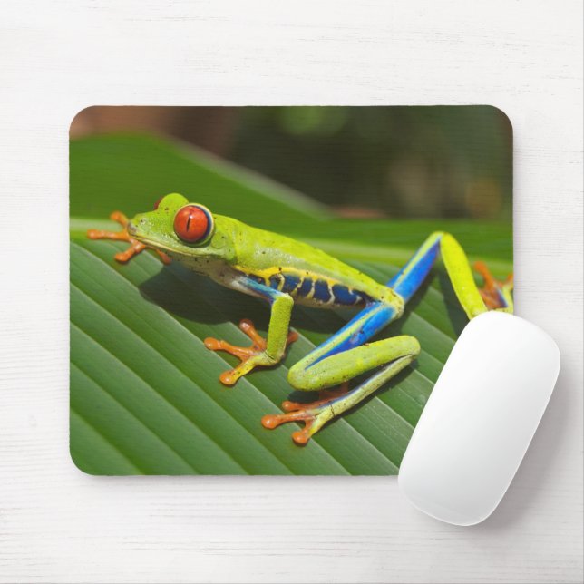 Green Colorful Jungle Tree Frog Mouse Pad (With Mouse)