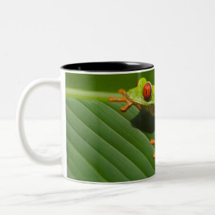 Green Colorful Jungle Tree Frog Two-Tone Coffee Mug