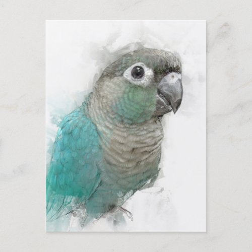 Green Conure Postcard No3