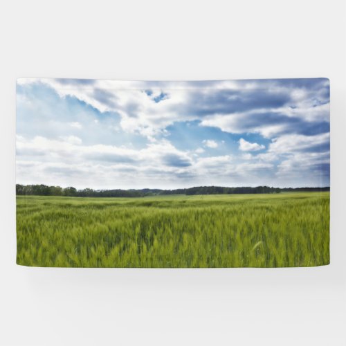 Green Cornfields and Blue Skies Banner