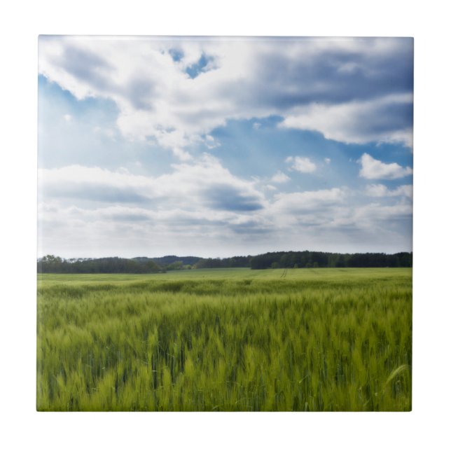 Green Cornfields and Blue Skies Ceramic Tile (Front)