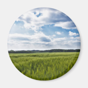 Green Cornfields and Blue Skies Magnet