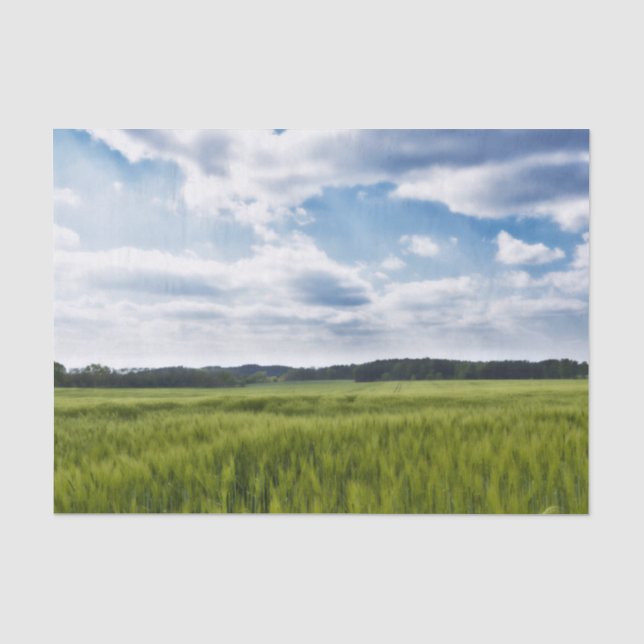 Green Cornfields and Blue Skies Tissue Paper (Front)