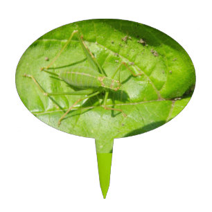 Green Cricket Camouflage Cake Pick