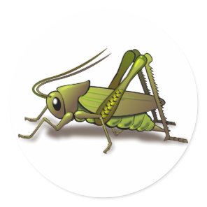 Green Cricket Insect Classic Round Sticker