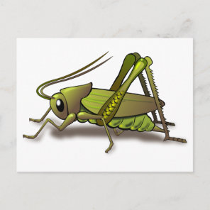 Green Cricket Insect Postcard