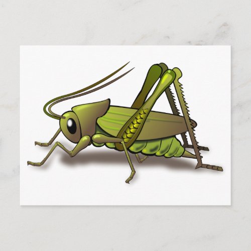Green Cricket Insect Postcard