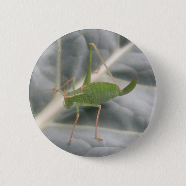 Green Cricket Macro Button (Front)
