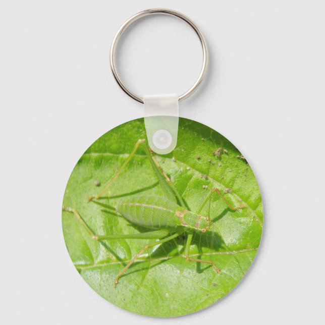 Green Cricket Macro Keychain (Front)