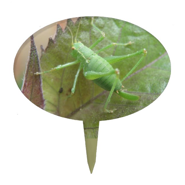 Green Cricket on a Leaf Cake Pick (Front)