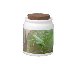 Green Cricket on a Leaf Candy Jar