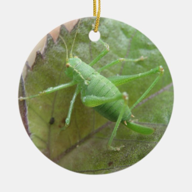 Green Cricket on a Leaf Custom Birthday Ceramic Ornament (Front)