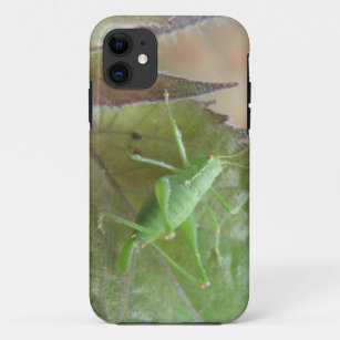 Green Cricket on a Leaf iPhone 5 Case