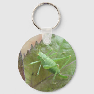 Green Cricket on a Leaf Keychain