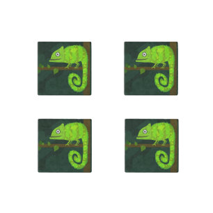 Green cute chameleon stone magnet