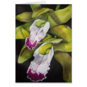 Green Cymbidium Orchid (Front)