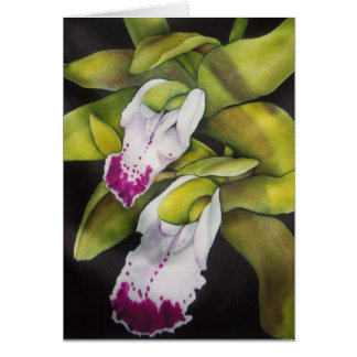 Green Cymbidium Orchid Cards