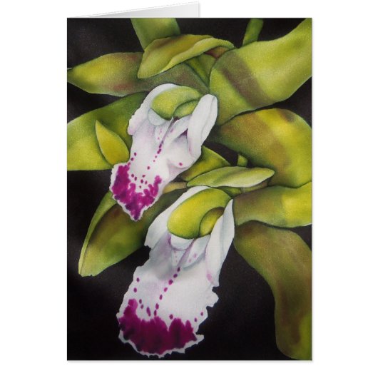 Green Cymbidium Orchid Cards (Front)