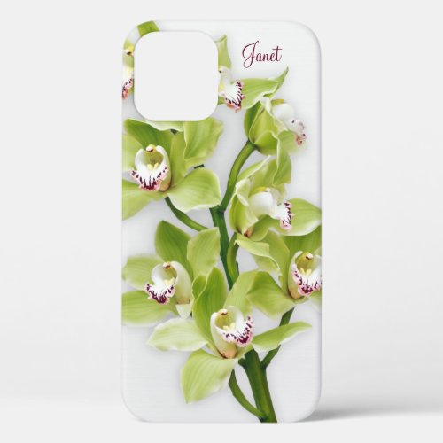 Green Cymbidium Orchid Floral iPhone 6 case