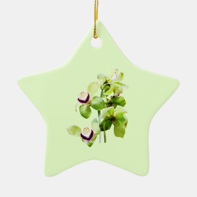 Green Cymbidium Orchids Ceramic Ornament (Front)
