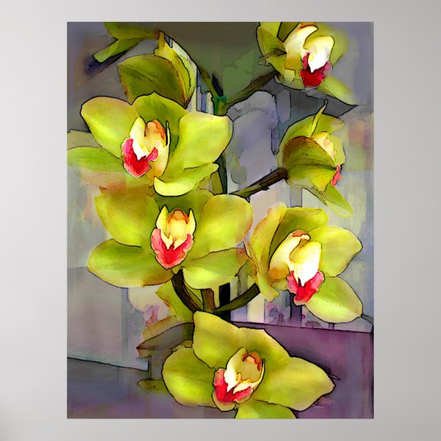 Green Cymbidium Orchids Poster (Front)