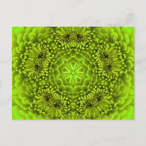 GREEN DAHLIA FLOWER POSTCARD