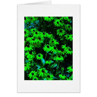 Green Daisies Cards
