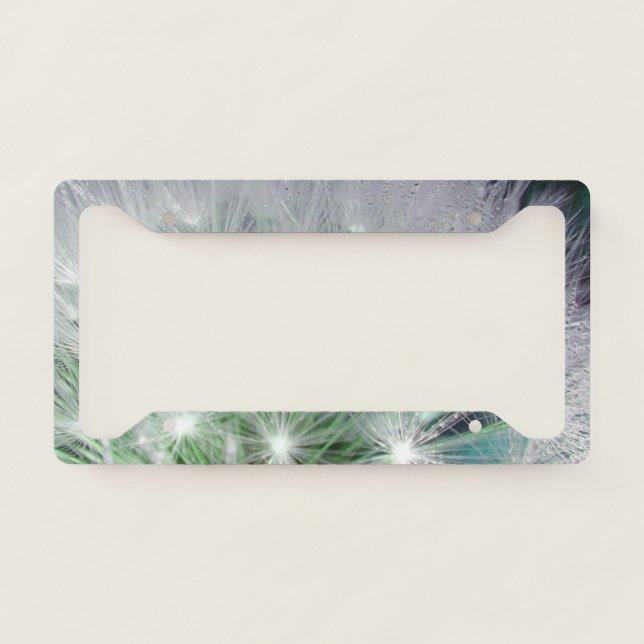 green dandelion with water droplets license plate frame (Front)