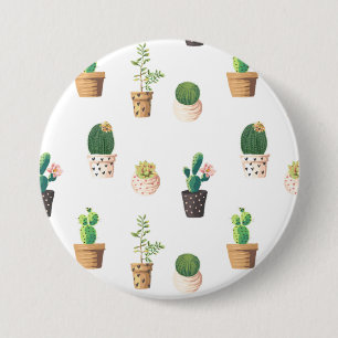 Green Dessert Succulent Cactus in Pots Button