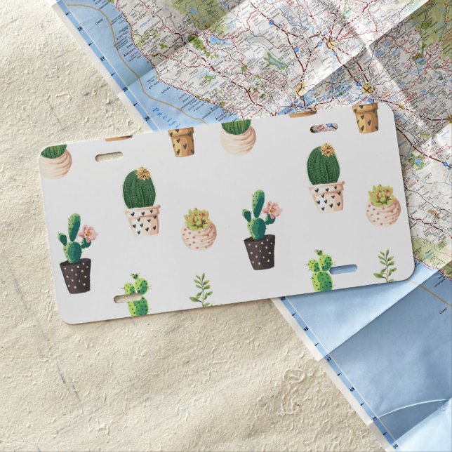 Green Dessert Succulent Cactus in Pots License Plate (In Situ)
