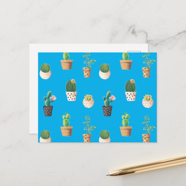 Green Dessert Succulent Cactus in Pots Postcard (Front/Back In Situ)