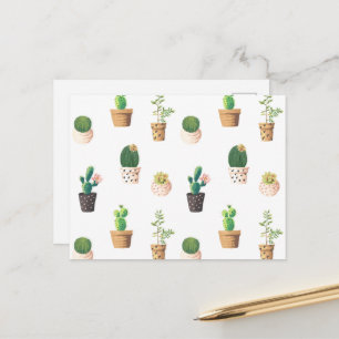 Green Dessert Succulent Cactus in Pots Postcard